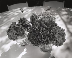 flowers at table